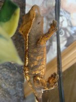 DSC04020.JPG