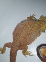 01717_e5S1XEqDqqj_0t20lM_600x450.jpg