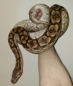 20201226_211855.jpg