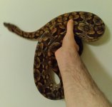 20201226_211702.jpg
