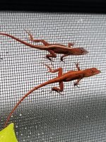 20200921_230906.jpg