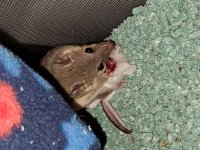 20200818_200636.jpg