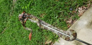 20201002_134337.jpg