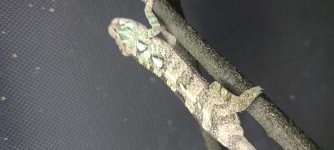 20201003_182915.jpg