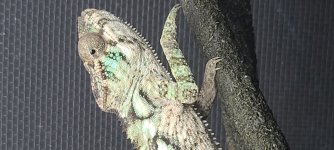 20201003_182858.jpg