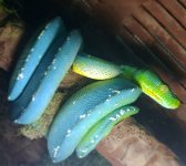 20201108_092902.jpg