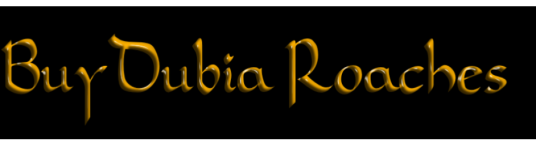 BDR.png