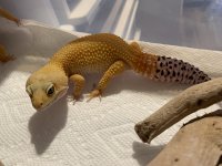 IMG_5988.jpg