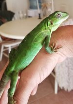 20201005_133435.jpg