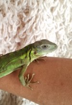 20201005_133315.jpg
