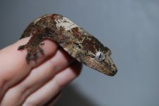 DSC_0469.jpg