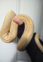 IMG_20201108_132754136.jpg