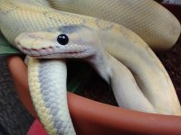 IMG_20201108_133057874.jpg