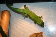 IMG_9625.jpg