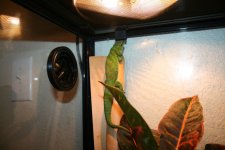 IMG_9623.jpg