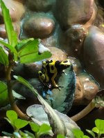IMG_3925.jpg
