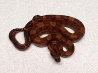 thumbnail (46).jpg