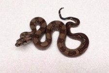 thumbnail (47).jpg