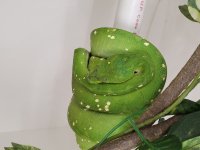 20201227_171715.jpg