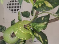 20201220_134227.jpg