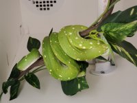 20201220_133952.jpg