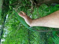 IMG_0431.jpg