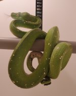 20201227_180404.jpg