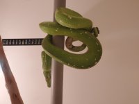 20201220_135144.jpg