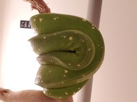 20201227_171750.jpg