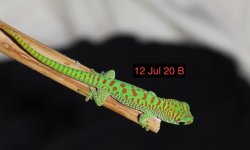 IMG_3533.jpg