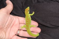 IMG_3523.jpg