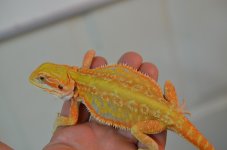 DSC_7852.jpg