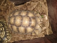 IMG_20201208_142604641.jpg