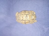 20201027_154314.jpg