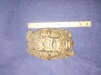 20201027_154357.jpg