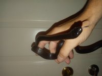 20201027_155841.jpg