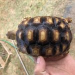 5F1E5DA4-4E22-4035-AB1F-D394E5B6A5E3.jpg