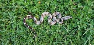 20201007_165034.jpg