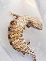20200922_170802.jpg