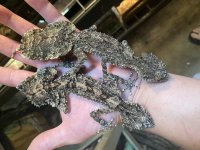 B72529A5-6104-47A4-88A4-D55DAE3E1698.jpg
