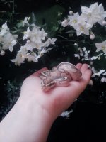 Lumii_20200821_150531988.jpg