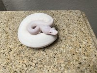 thumbnail_IMG_0227.jpg