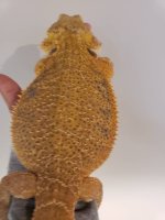 20200920_090147.jpg