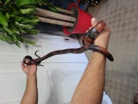 20201203_124058.jpg