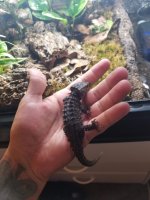 received_1337992126368502.jpg