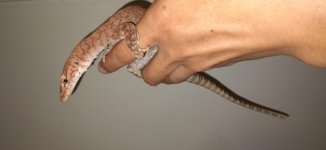 thumbnail_20201216_083330.jpg