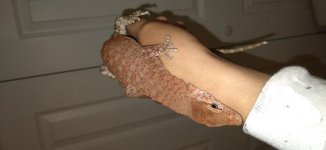 thumbnail_20201216_083816.jpg