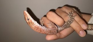 thumbnail_20201216_083605.jpg