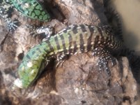 20200907_184421.jpg