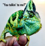 You talkin to me.jpg
